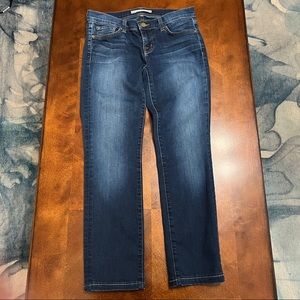 J BRAND CALEB SLIM BOYFRIEND JEAN- Size 24